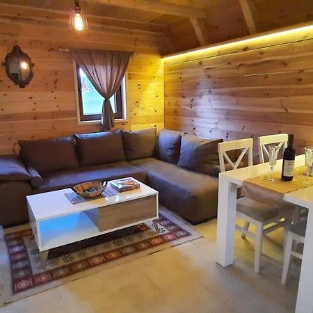 Mountain House Bjanka Villa Zabljak  Ngoại thất bức ảnh