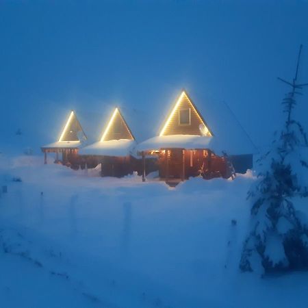 Mountain House Bjanka Villa Zabljak  Ngoại thất bức ảnh